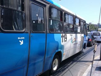 Línea 119 retoma servicio exprés y aumenta flota de taxibuses