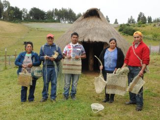 FIA abre convocatoria para experiencias que complementen los procesos de innovación en el agro