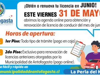 Licencia de conducir: este viernes se abren los cupos para junio