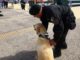 Gendarmería participó en el Día del Patrimonio con muestra de canes y Unidad de Servicios Especiales Penitenciarios