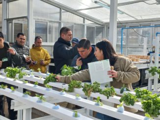 Equipos de Gendarmería participaron en jornada de aprendizaje agroecológico liderado por la UCT en Pillanlelbún