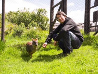 Se abren las postulaciones para encontrar a los Nuevos Héroes que sucederán al “Doctor Pudú”