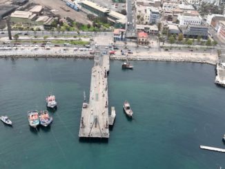 A favor de la fauna: se prohíbe pesca en el muelle histórico de Antofagasta