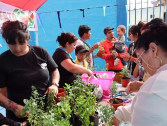 Comunidad de villa Felipe Trevizán de Antofagasta participa de Activación Cultural Comunitaria