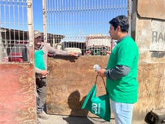 Voluntarios 2