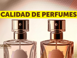 SERNAC fiscalia a tiendas online y marketplaces tras reclamos por calidad de perfumes: ¿Qué hacer si la calidad no corresponde?