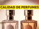 SERNAC fiscalia a tiendas online y marketplaces tras reclamos por calidad de perfumes: ¿Qué hacer si la calidad no corresponde?